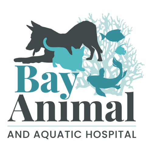 Bay Animal and Aquatic Hospital