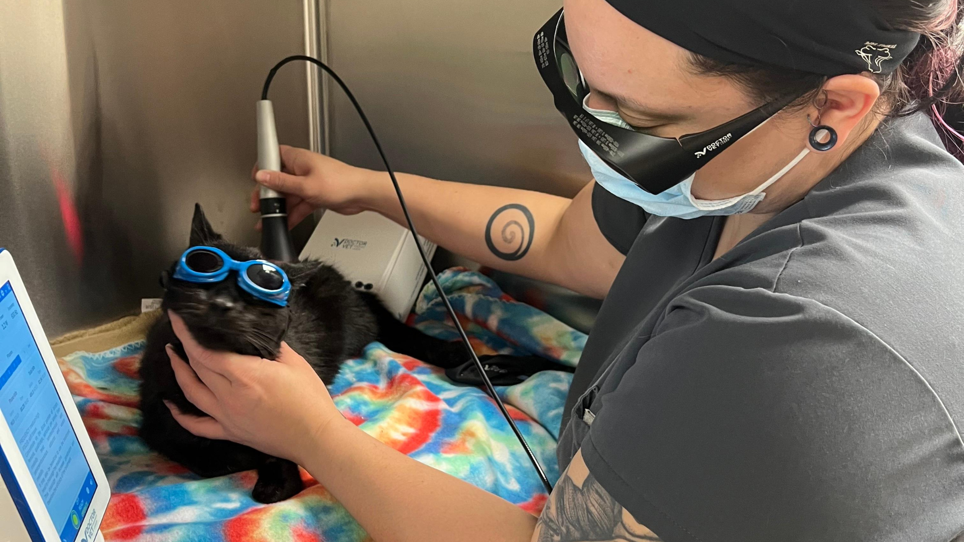 Bay Animal and Aquatic Hospital - header - Cold Laser Therapy